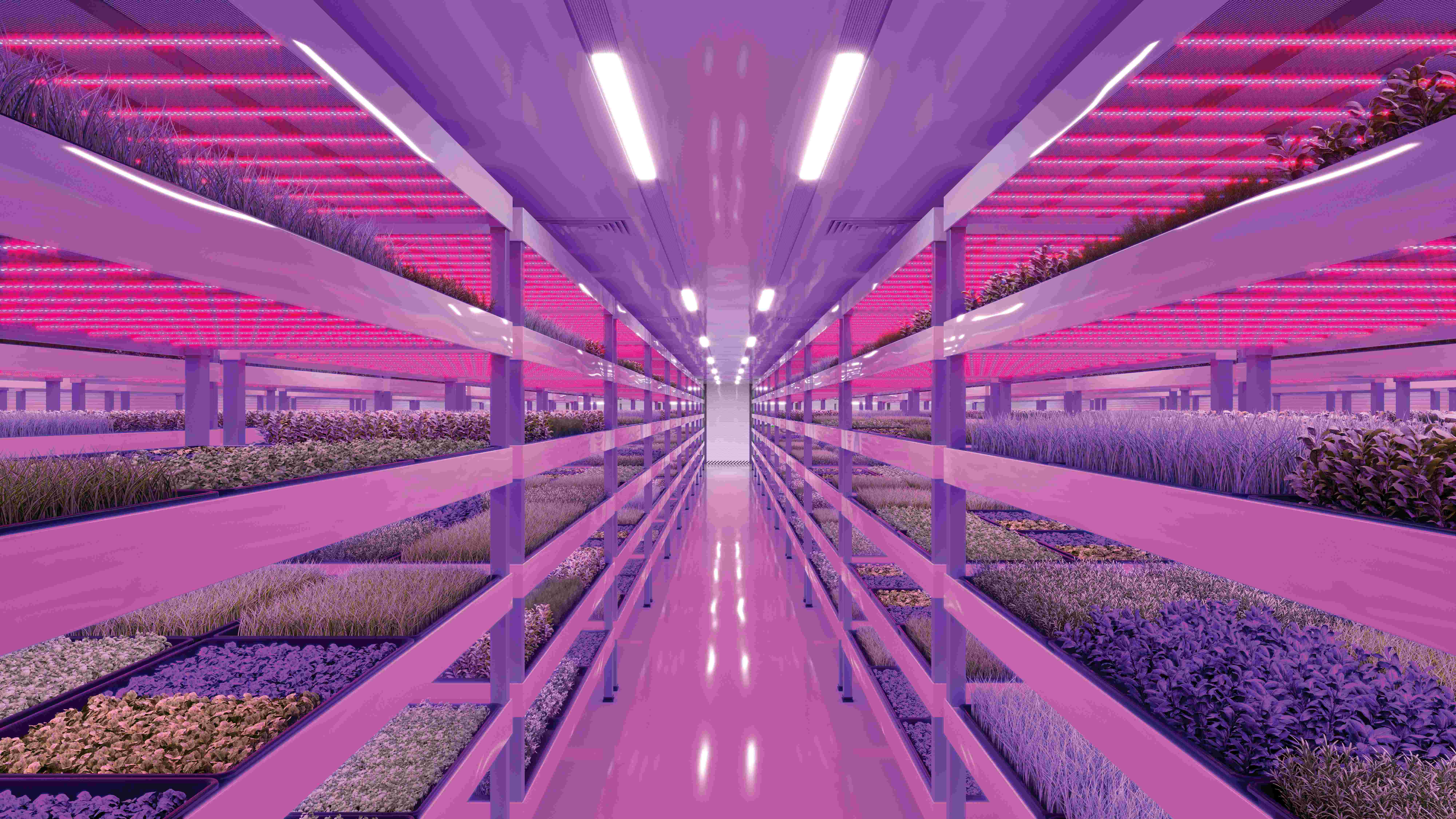 Basil, coriander, chives, parsley, dill and many others...